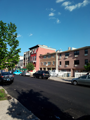 Wine Store «Bed-Vyne Wine & Spirits», reviews and photos, 370 Tompkins Ave, Brooklyn, NY 11216, USA