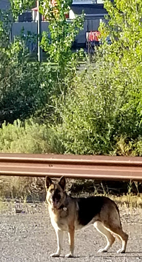 Amphitheater «USANA Amphitheatre», reviews and photos, 5150 S 6055 W, West Valley City, UT 84118, USA