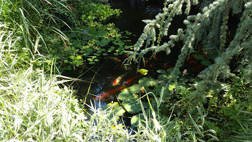 Garden «Sierra Water Gardens», reviews and photos, 2110 Dickerson Rd, Reno, NV 89503, USA