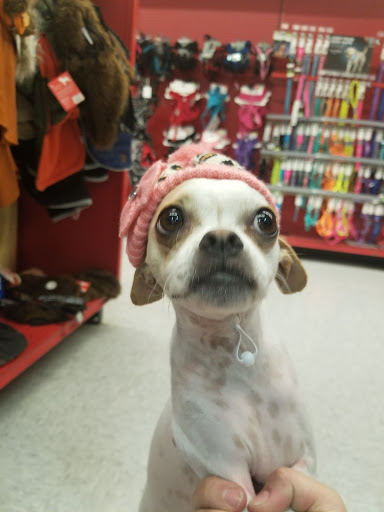 Pet Supply Store «Petco Animal Supplies», reviews and photos, 5843 N Elizabeth St, Pueblo, CO 81008, USA