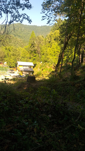 Grocery Store «Rays Food Place», reviews and photos, 875 Redwood Dr, Garberville, CA 95542, USA