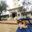Çukurova Üniversitesi Güzel Sanatlar Fakültesi