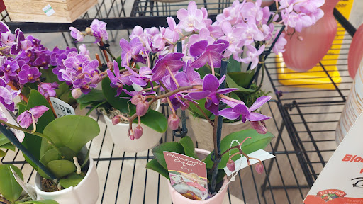 Grocery Store «Hannaford Supermarket», reviews and photos, 99 Main St, Gorham, ME 04038, USA