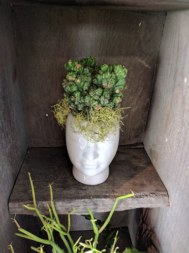 Florist «Apis Floral», reviews and photos, 955 Lincoln Ave, San Jose, CA 95126, USA