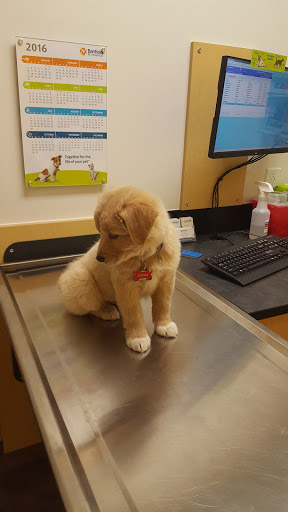 Pet Supply Store «PetSmart», reviews and photos, 4400 Fort Jackson Blvd #300, Columbia, SC 29209, USA