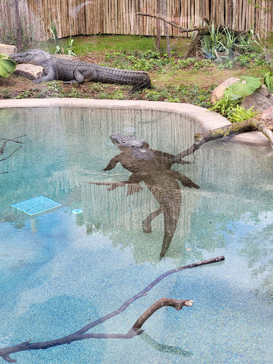 Zoo «Indianapolis Zoo», reviews and photos, 1200 W Washington St, Indianapolis, IN 46222, USA