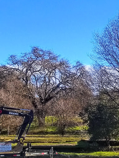 Hardware Store «Mendo Mill & Lumber Co», reviews and photos, 5255 Old Hwy 53, Clearlake, CA 95422, USA