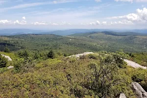 Appalachian Trail image