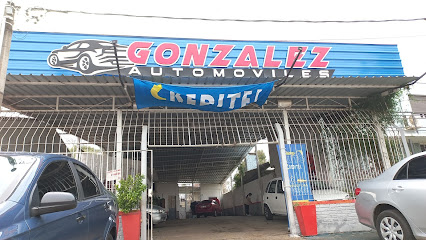 Gonzalez automovilez