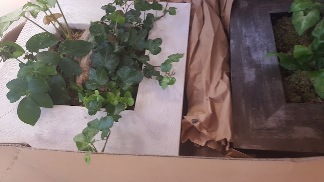 CEVA Logistics - Avignon