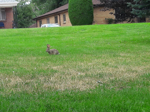 Golf Course «Harvard Gulch Golf Course», reviews and photos, 660 E Iliff Ave, Denver, CO 80210, USA