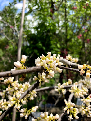 Garden Center «Stonewall Garden Center», reviews and photos, 4675 PA-447, Canadensis, PA 18325, USA