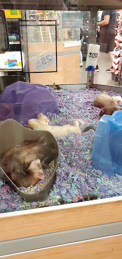 Pet Supply Store «Petco Animal Supplies», reviews and photos, 3000 Gateway St #220, Springfield, OR 97477, USA