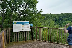 Williams Nature Center image