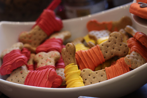 Pet Supply Store «Woof Gang Bakery & Grooming Lake Mary», reviews and photos, 1210 International Pkwy #118, Lake Mary, FL 32746, USA