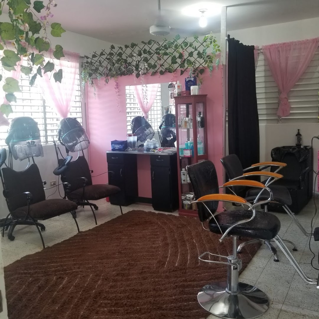 D belkis salon