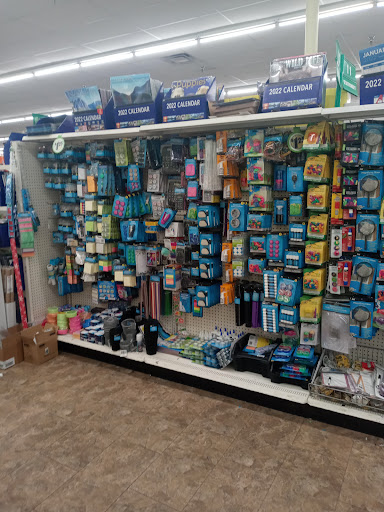 Dollar Store «Dollar Tree», reviews and photos, 9221 N 56th St, Temple Terrace, FL 33617, USA