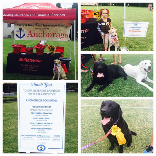 Insurance Agency «Tracy Blair Haus State Farm Insurance Agency», reviews and photos