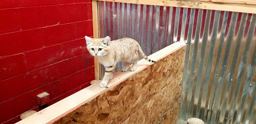 Zoo «Jozee Rooz Indoor Petting Zoo», reviews and photos, 120 138th St S, Tacoma, WA 98444, USA