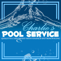 Charlie's Pool Service - Photo 9 - Car repair in Lewisville, TX, Irving