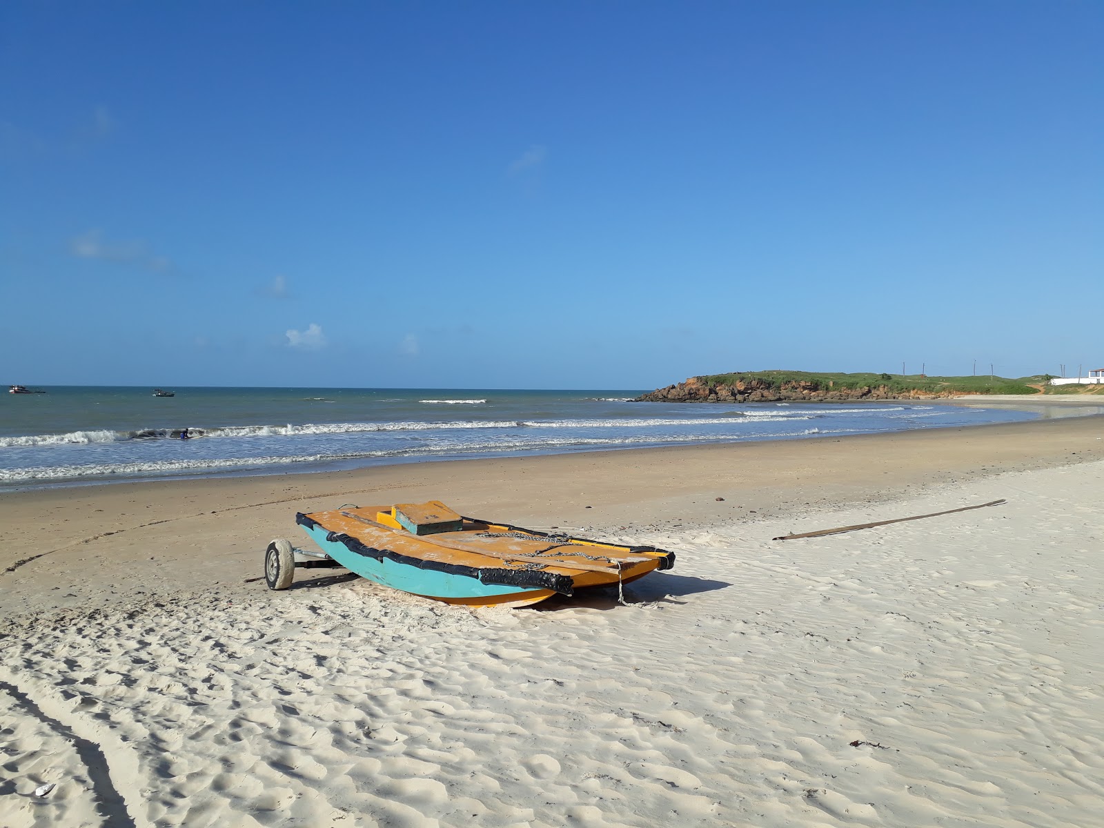 Carnaubinha Plajı'in fotoğrafı vahşi alan
