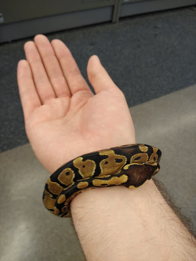 Pet Supply Store «Pet Supplies Plus», reviews and photos, 12407 MoPac Expy 525 - B, Austin, TX 78758, USA