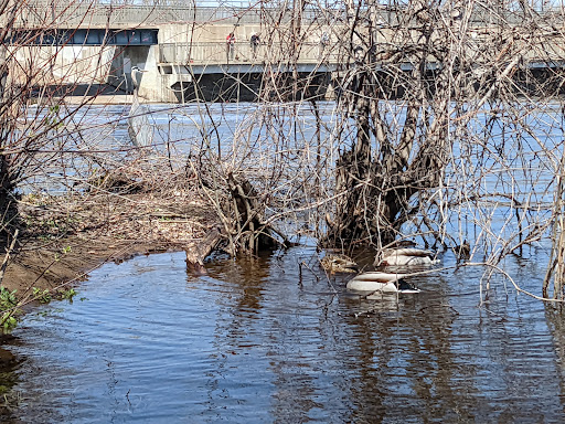 Park «Coon Rapids Dam Regional Park», reviews and photos, 9750 Egret Blvd NW, Coon Rapids, MN 55433, USA