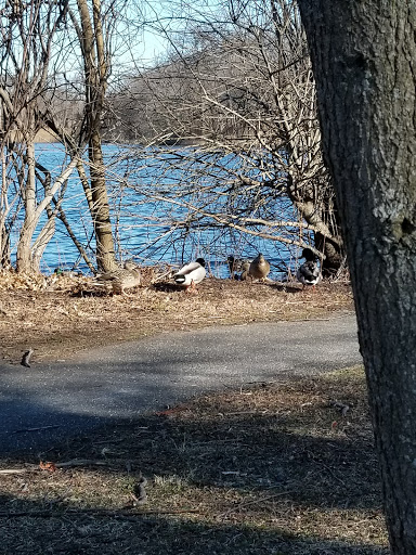 Pet Supply Store «PetSmart», reviews and photos, 2410 Merrick Rd #1, Bellmore, NY 11710, USA