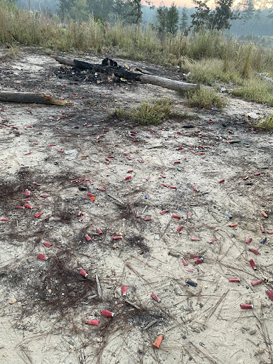 National Forest «Tuskegee National Forest», reviews and photos, 125 National Forest Rd 949, Tuskegee, AL 36083, USA