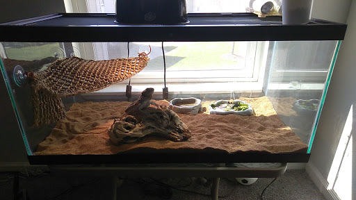 Pet Supply Store «Pet Supplies Plus», reviews and photos, 5230 S Westnedge Ave, Portage, MI 49002, USA