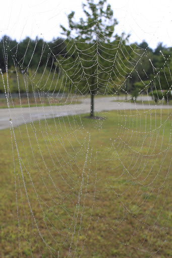 Environmental Organization «VINS Nature Center», reviews and photos, 6565 Woodstock Rd, Quechee, VT 05059, USA