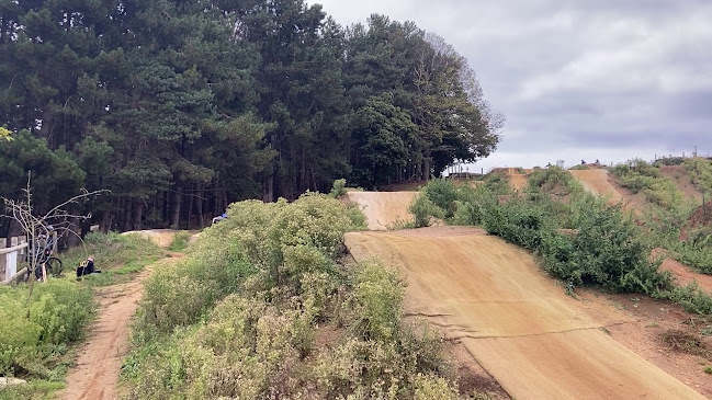 Comments and reviews of Twisted Oaks Bike Park and Trails