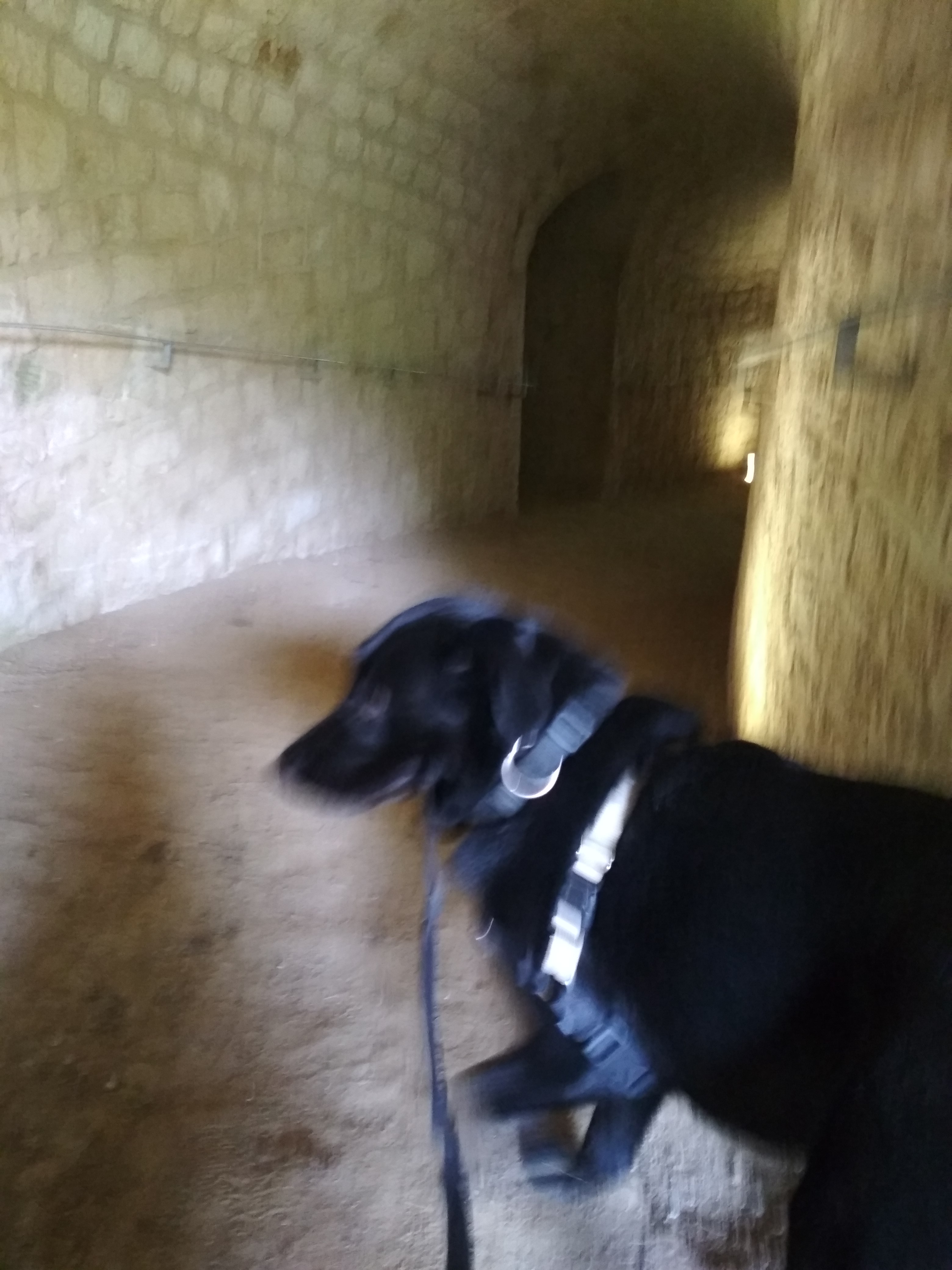 Photo n° 3 de l'avis de Régis.e fait le 04/07/2020 à 19:05