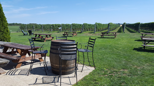 Winery «Roanoke Vineyards», reviews and photos, 3543 Sound Ave, Riverhead, NY 11901, USA
