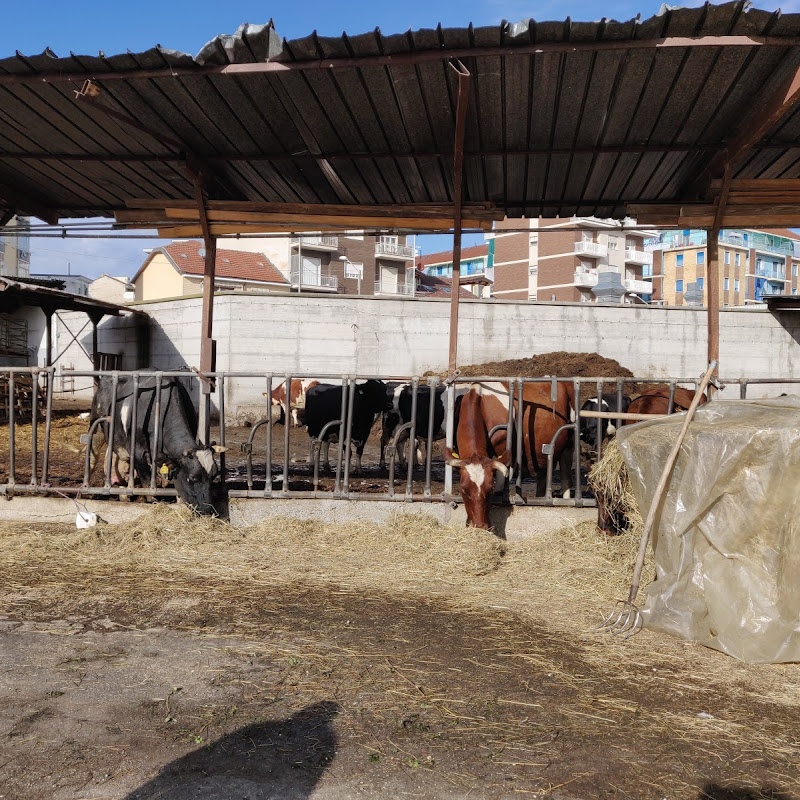 Azienda Agricola Dentis - Cascina La Porchetta Di Ferdinando E Angelo