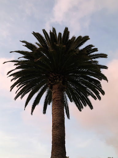 San Clemente Inn image