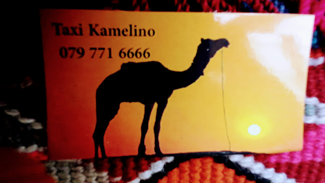 Taxi Kamelino