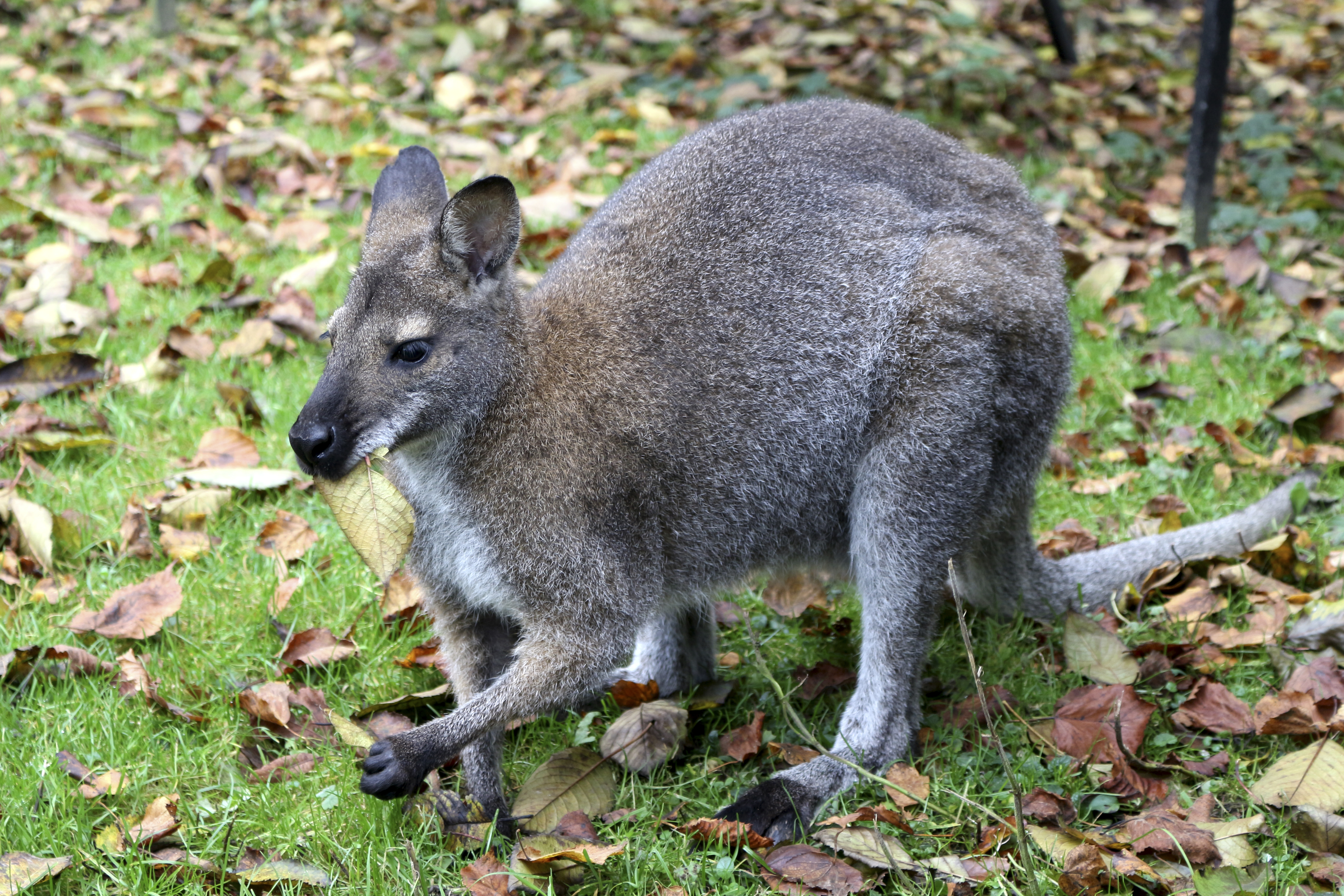Photo n° 34 de l'avis de Laurent. fait le 05/08/2022 à 12:06