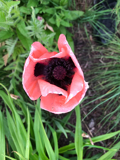 Golf Course «Lake Park Golf Course & Marina», reviews and photos, 1015 Howard Ave, Des Plaines, IL 60018, USA