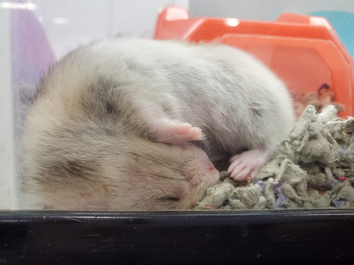 Pet Supply Store «Petco Animal Supplies», reviews and photos, 3731 Gateway Dr, Eau Claire, WI 54701, USA