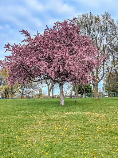 Parc du Sault-au-Récollet