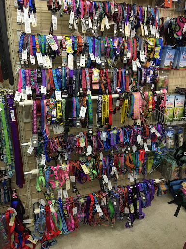 Pet Headquarters, 501 E Main St B, Palmyra, PA 17078, USA, 