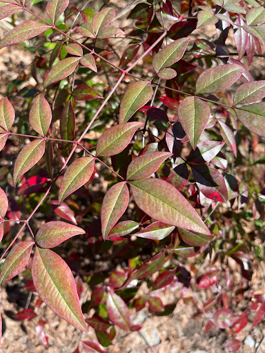 Park «Allsopp Park», reviews and photos, 3700 Cedar Hill Rd, Little Rock, AR 72202, USA