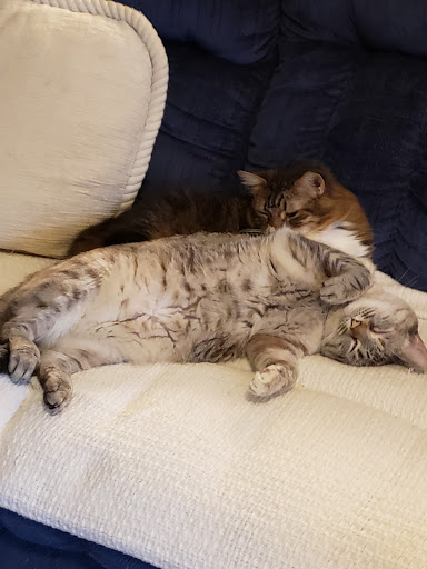 481 Cortes St, Monterey, CA 93940, USA