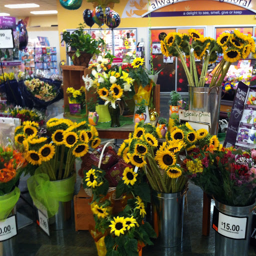 Supermarket «Super Stop & Shop», reviews and photos, 763 Straits Turnpike, Watertown, CT 06795, USA