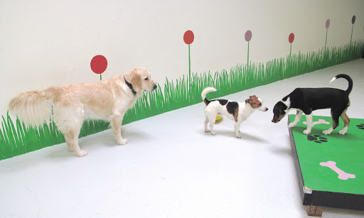 Hundehaven Potefryd in Brabrand, Aarhus