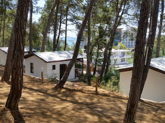 Yeşil Türkiye Ormancılar Derneği- Ömer Özen Araştırma ve Eğitim Merkezi