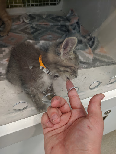 Pet Supply Store «Petco Animal Supplies», reviews and photos, 14609 Airline Hwy Ste 104, Gonzales, LA 70737, USA