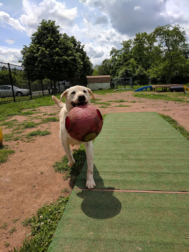 Dog Day Care Center «Dog Days Daycare Center», reviews and photos, 281 Roycefield Rd, Hillsborough Township, NJ 08844, USA