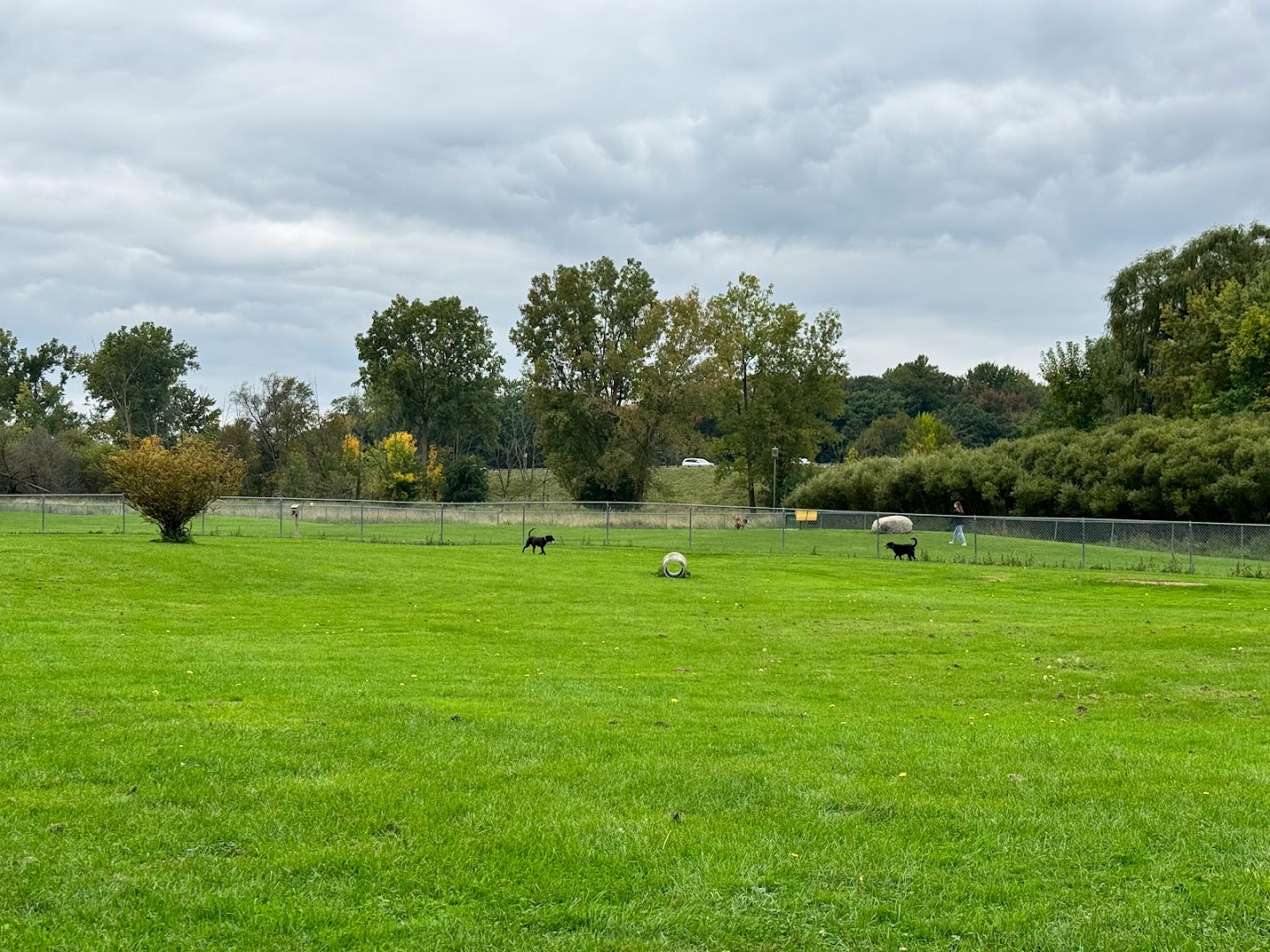 Midland Dog Park